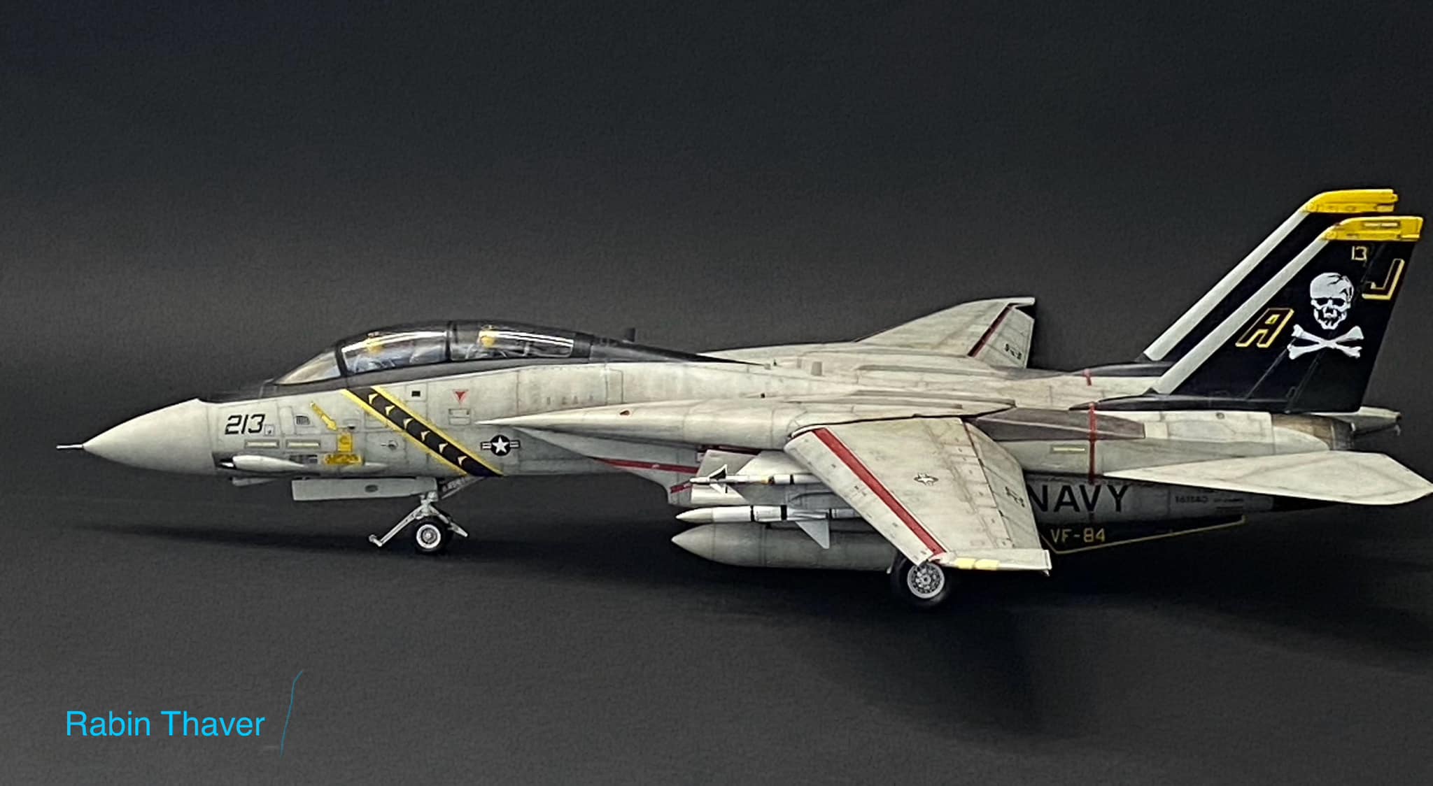 Colors & Markings of the Grumman F-14 Tomcat Part 1