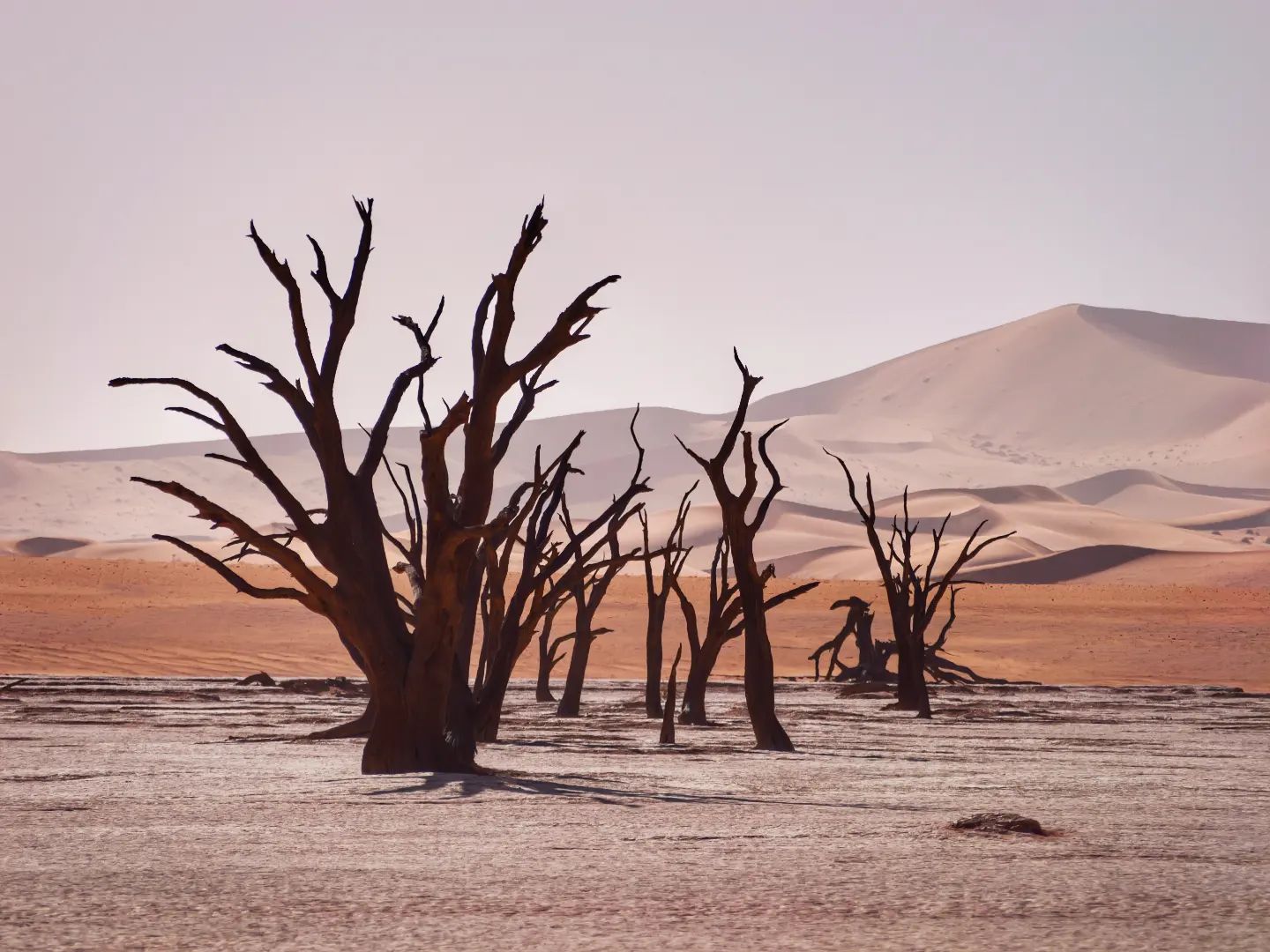 This is Deadvlei. A real highlight of... - TDA Global Cycling | Facebook