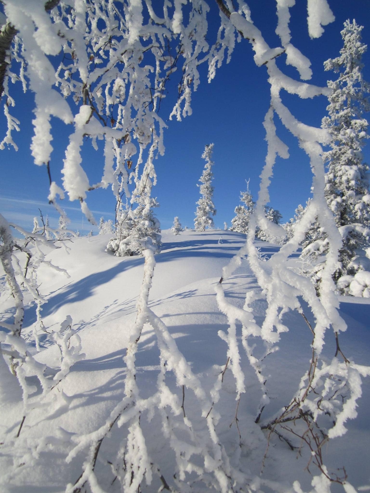 Yellowknife winter wonderland at -46c