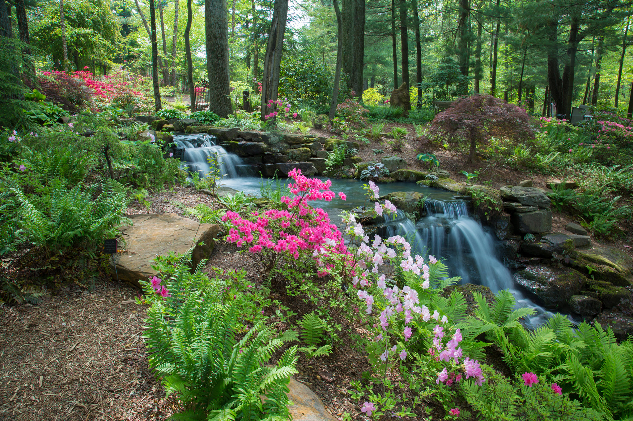 Azalea... - Indiana's Historic Pathways National Scenic Byway | Facebook