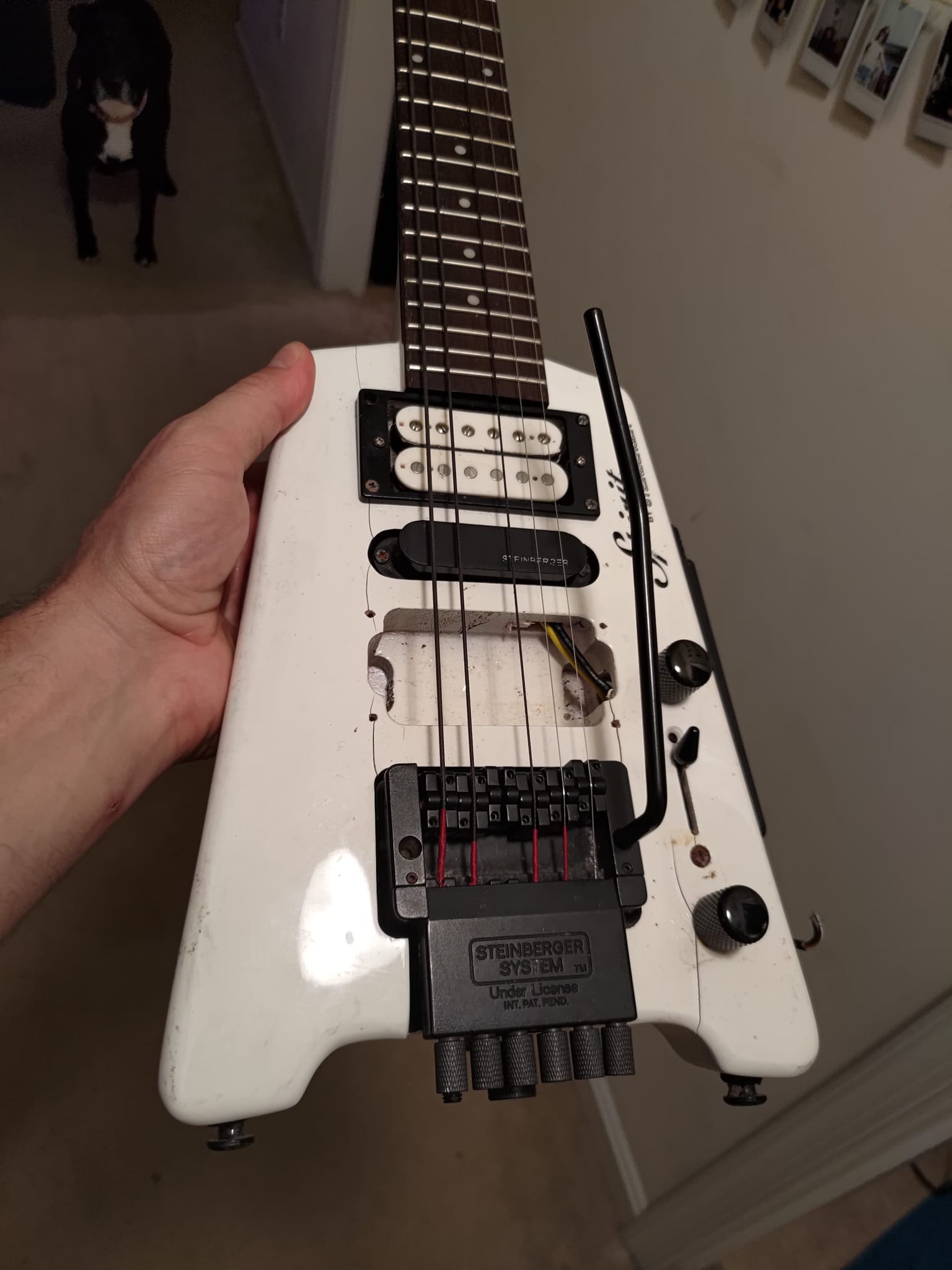 Spirit by STEINBERGER MOD ジャンク お 得 な 通販 サイトホビー