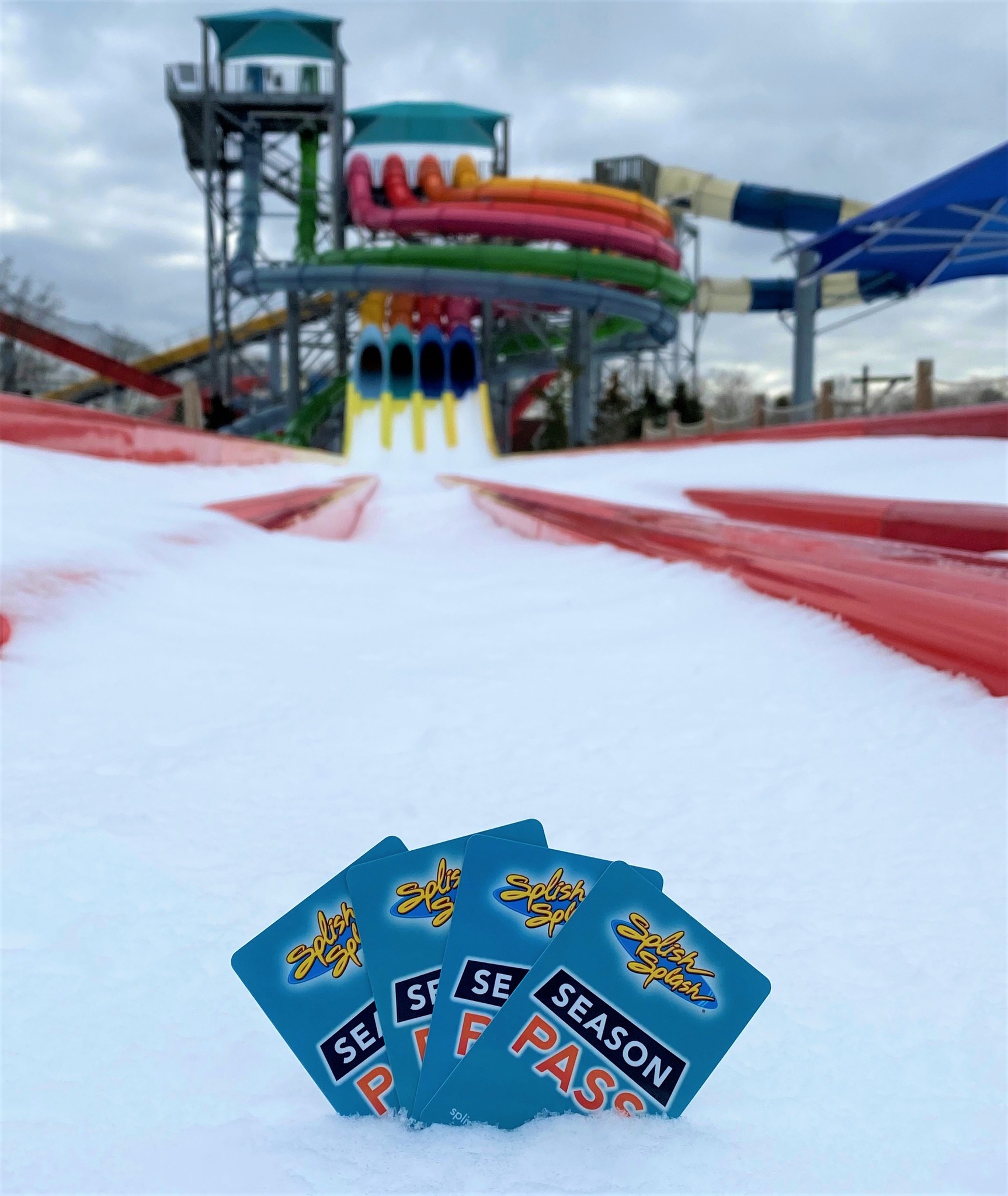 Splish Splash - Is anyone else over the snow as much as we... | Facebook