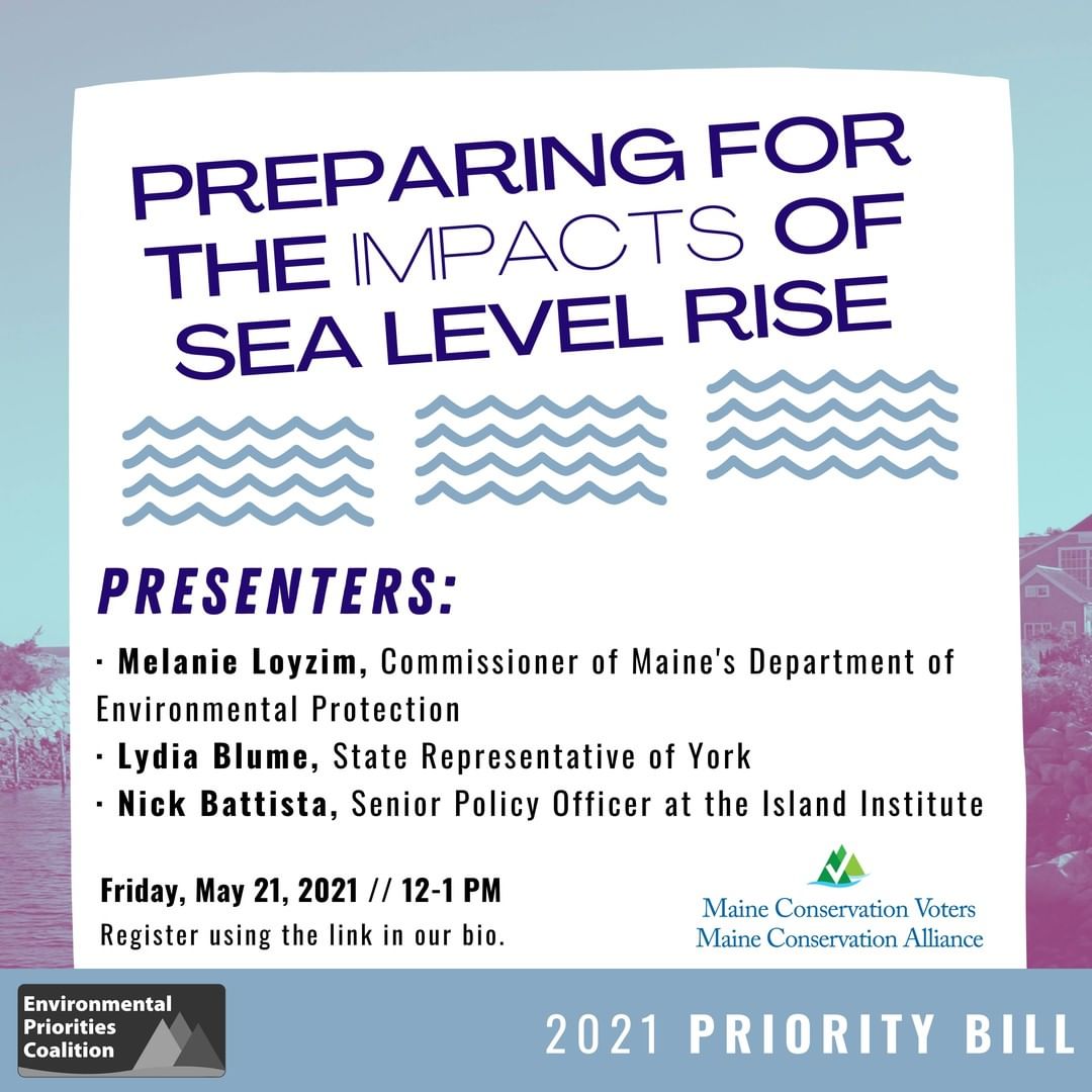 Sea level rise is one of the most... - Island Institute