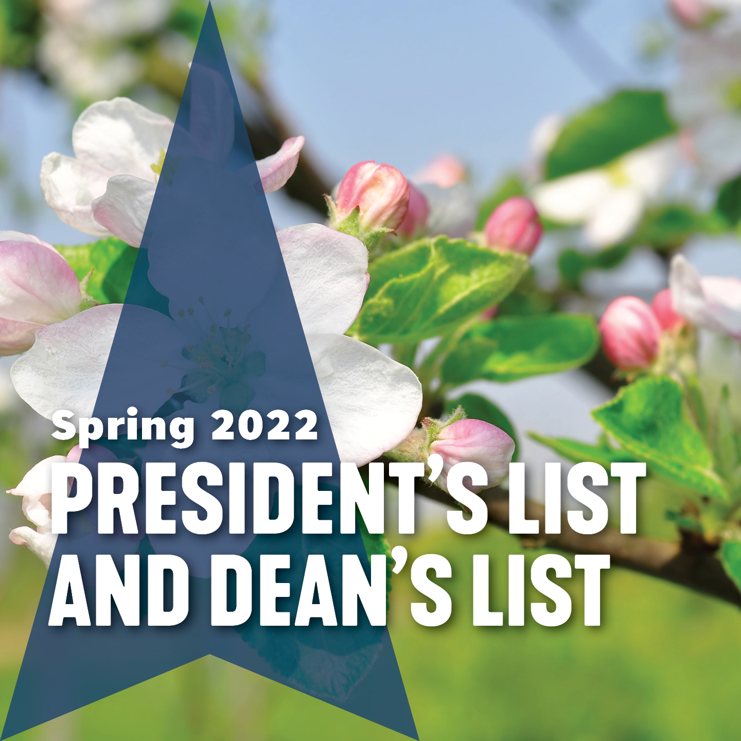 Vermont - Northern Vermont University is proud to announce that 416 ...