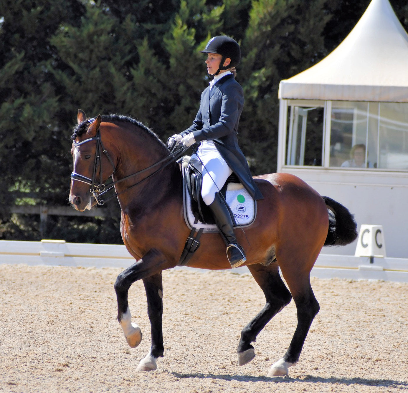 Grand prix de Genève Parabar Passport Patrole-Porter Exc in