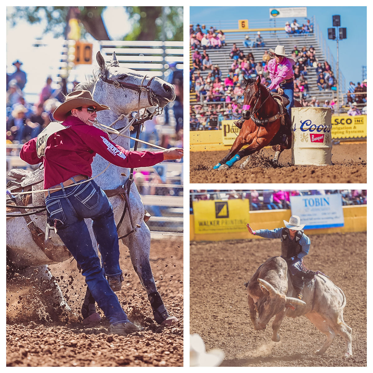 Congrats to #TeamPurina’s... - Purina Performance Horse | Facebook