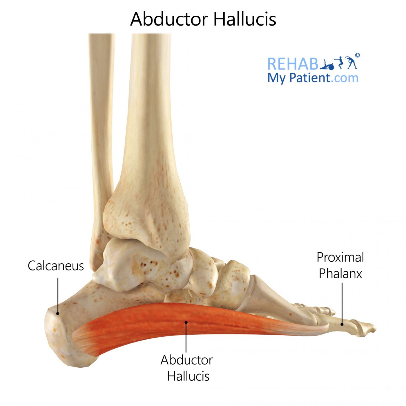 New client, mid 60's avid... - NeuroKinetic Therapy
