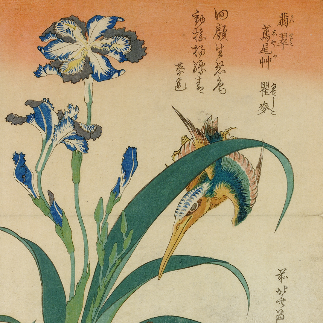British - 🔎 Katsushika Hokusai (1760–1849), 'Kawasemi shaga