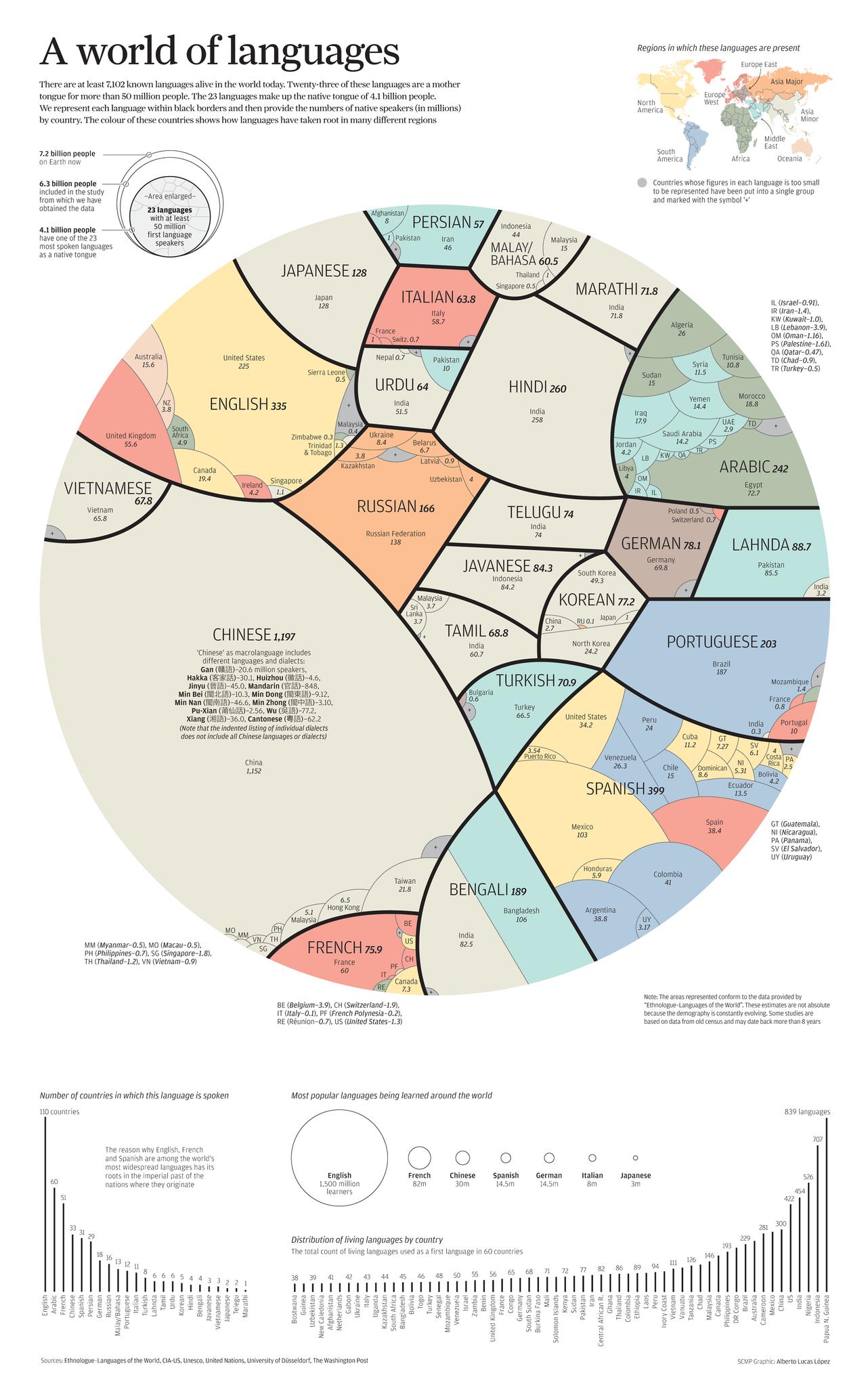 The Tree Of Languages Illustrated In A Big Beautiful Infographic
