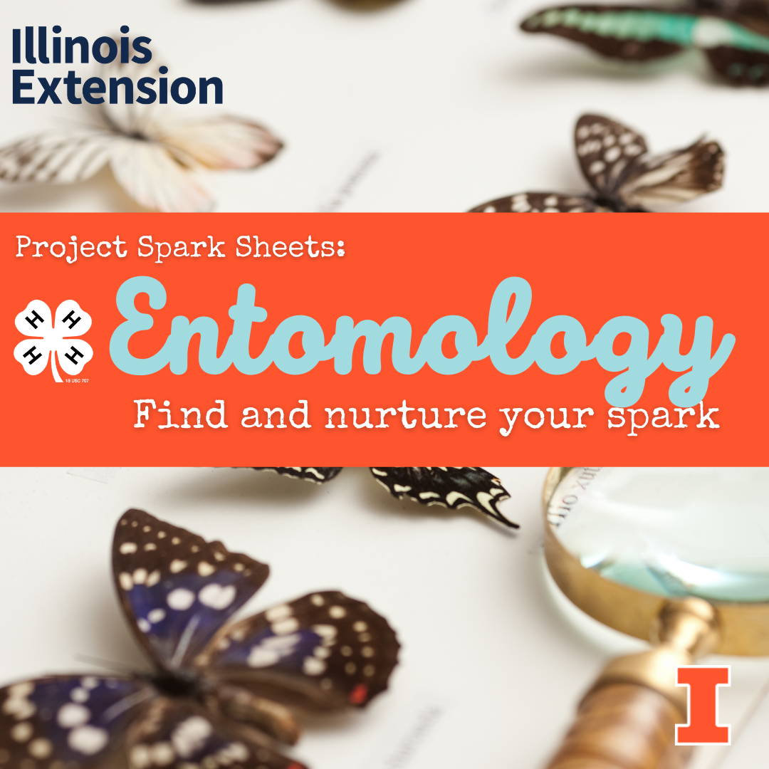 Illinois 4-H - Did you know there are more types of insects on Earth ...