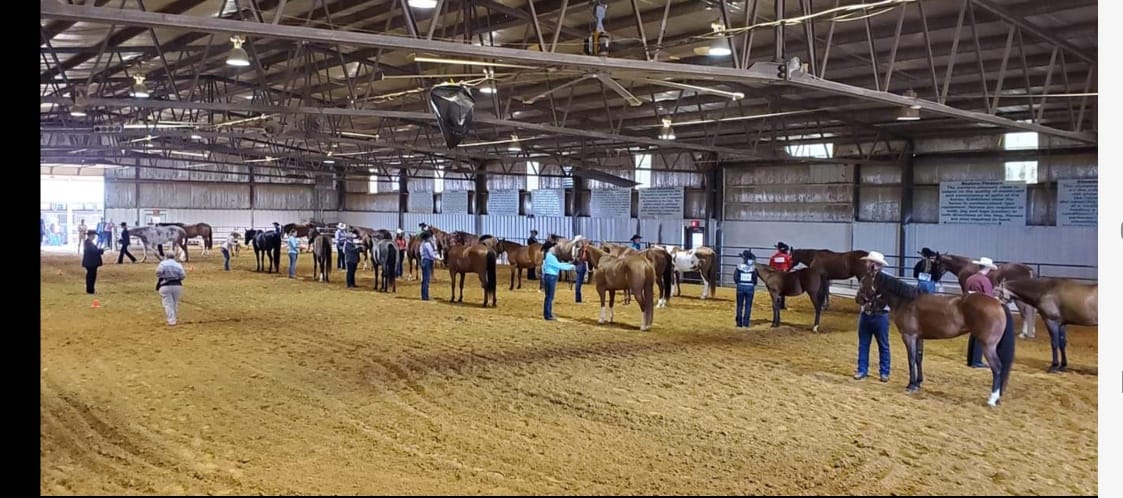 Lone Star Stables added a new photo —... - Lone Star Stables