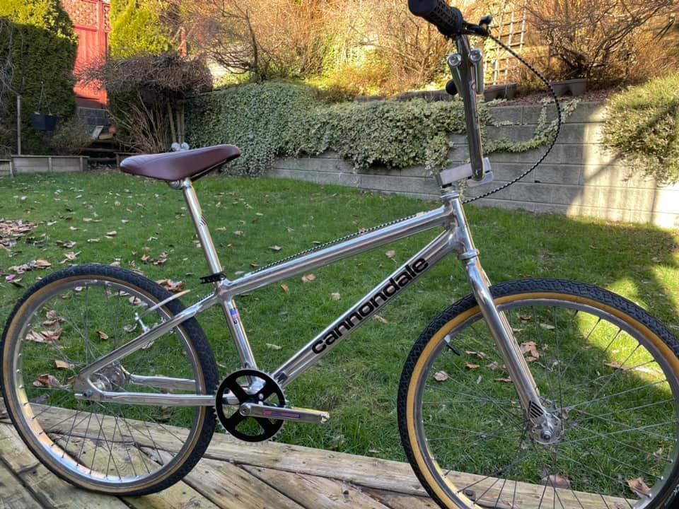What is this BMX bike model with Araya rims and Suzue hubs?