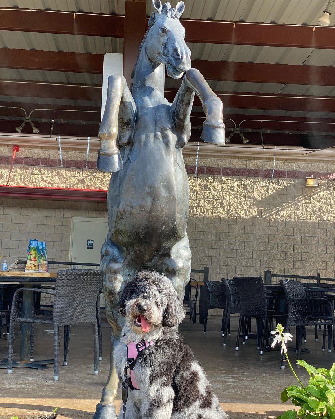 Chef - We usually don’t like to pick our favorite guest but...our patio ...