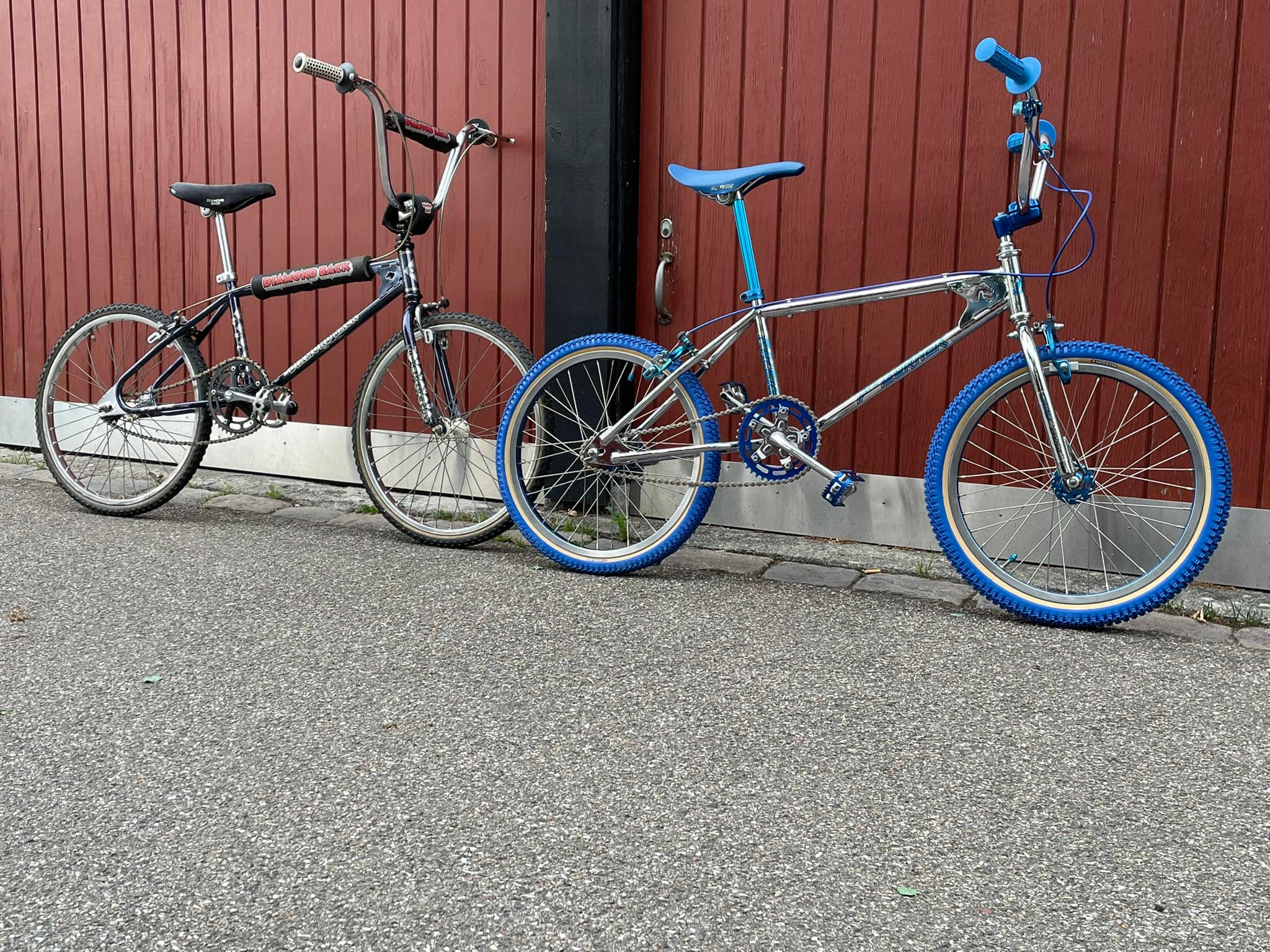 Koizumi ⚾️ brothers 1984 Diamond Back HLT 1983 Raleigh Pro