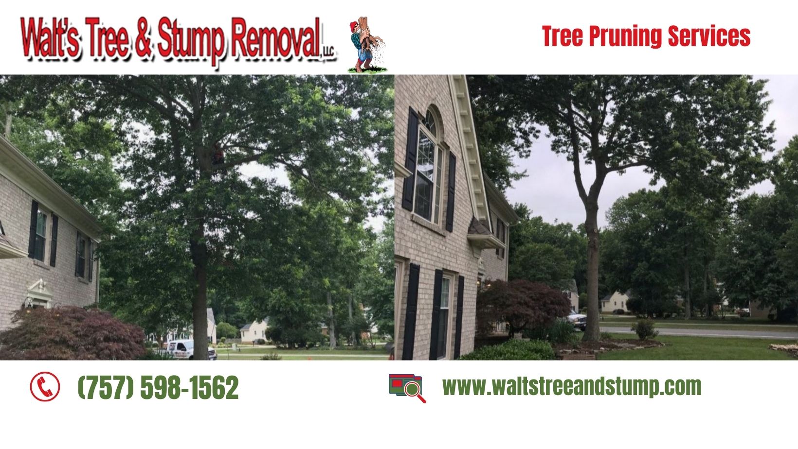 Walt's Tree and Stump Removal - Trees that grow too big could block out ...