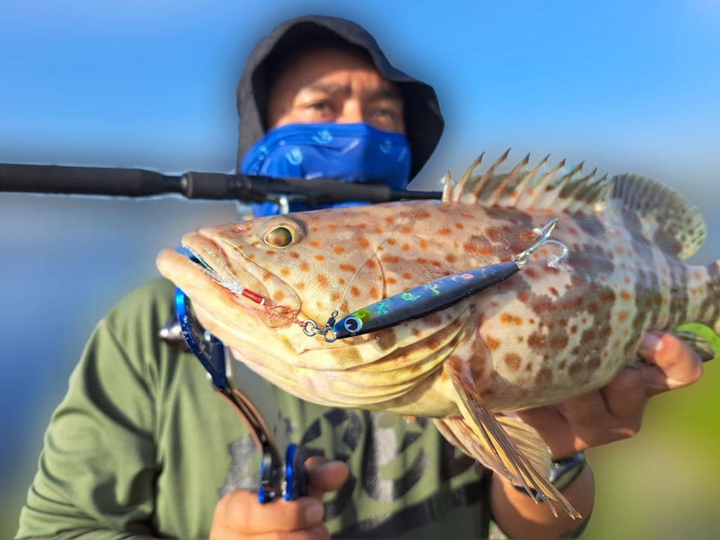 Apia Grandage rod available at Lure Haven