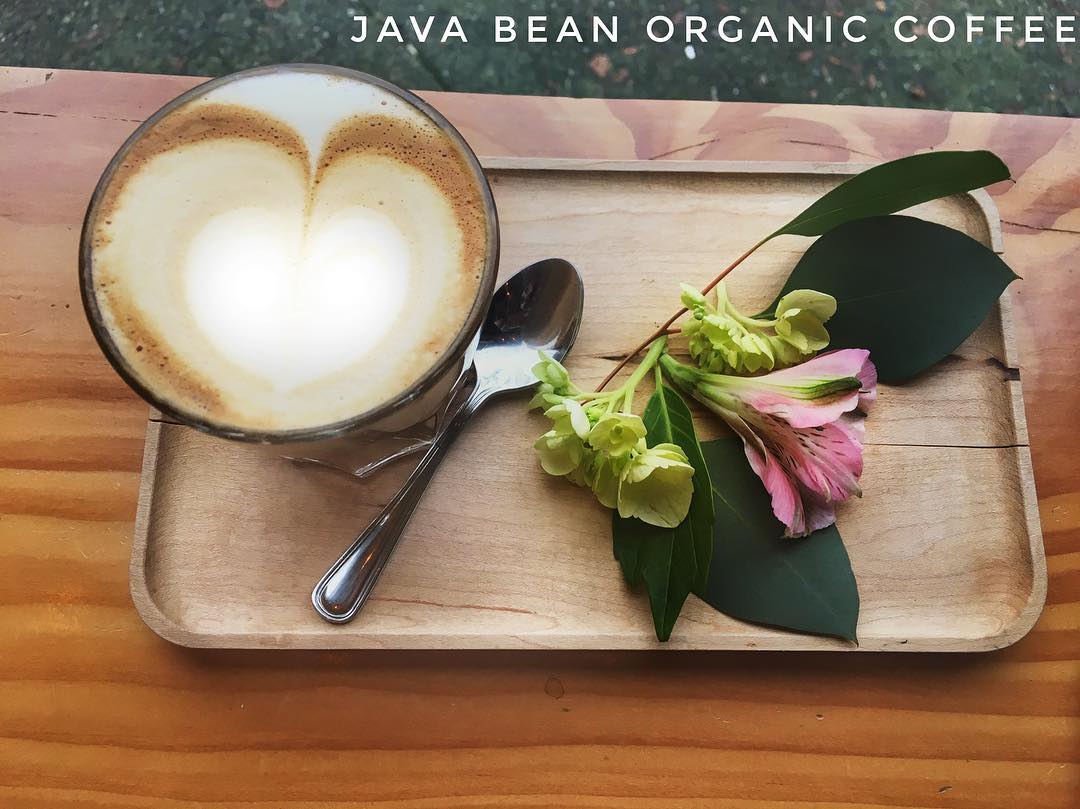Java Bean Organic Coffee | Seattle WA
