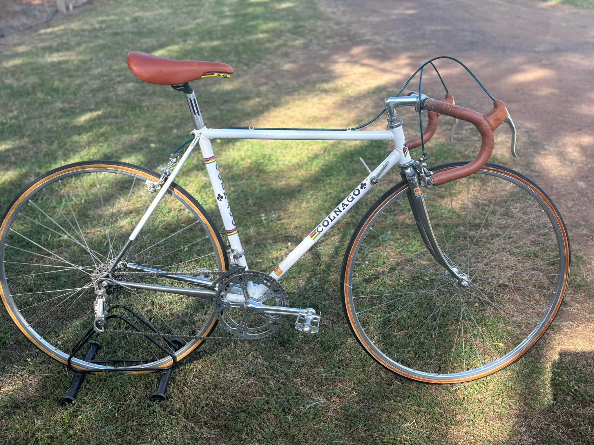 Early '80s Colnago Junior bike for sale in Dubbo, NSW