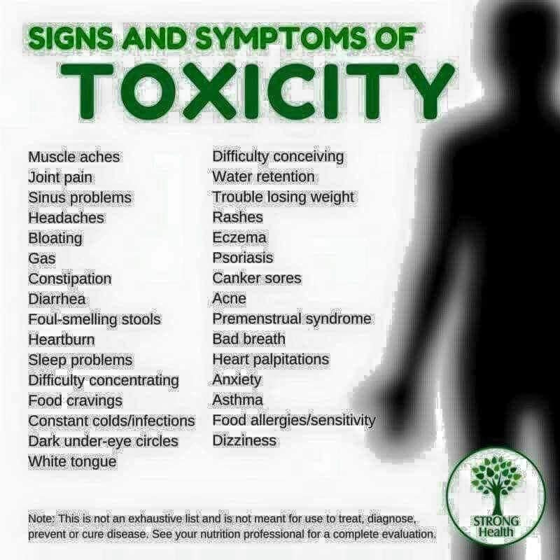Glutathione recycling and its importance in detoxification