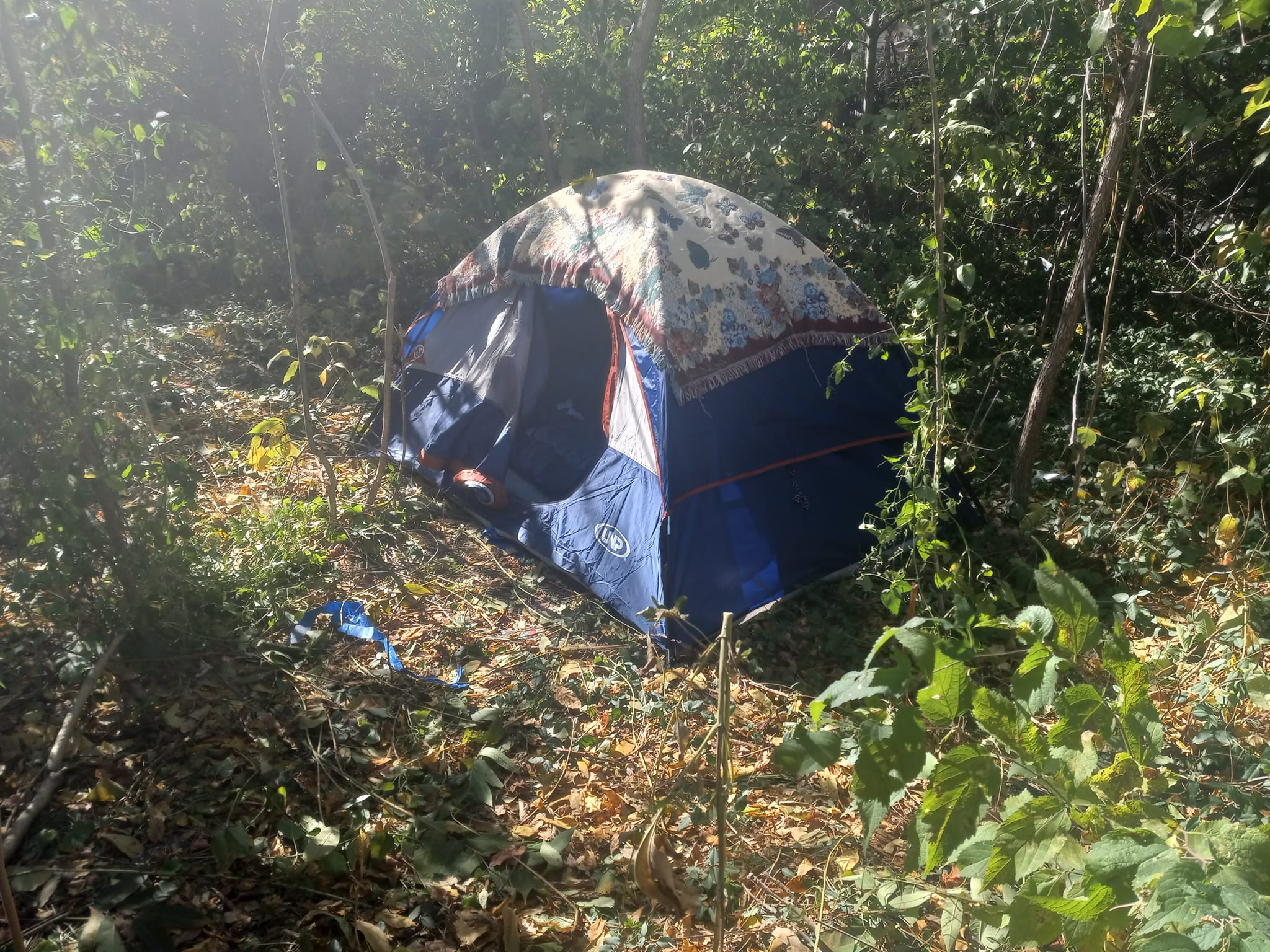 8 personen skandika zelt Nimbus Sleeper für Tent review: Eurohike Sendero Aktivitäten Size:5.5m x 7.0m (23ft x 18ft) - 3 Pack