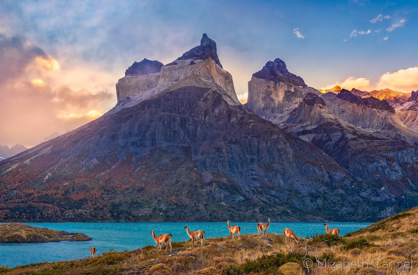 No place like Patagonia, home of Pumas & otherworldly landscapes