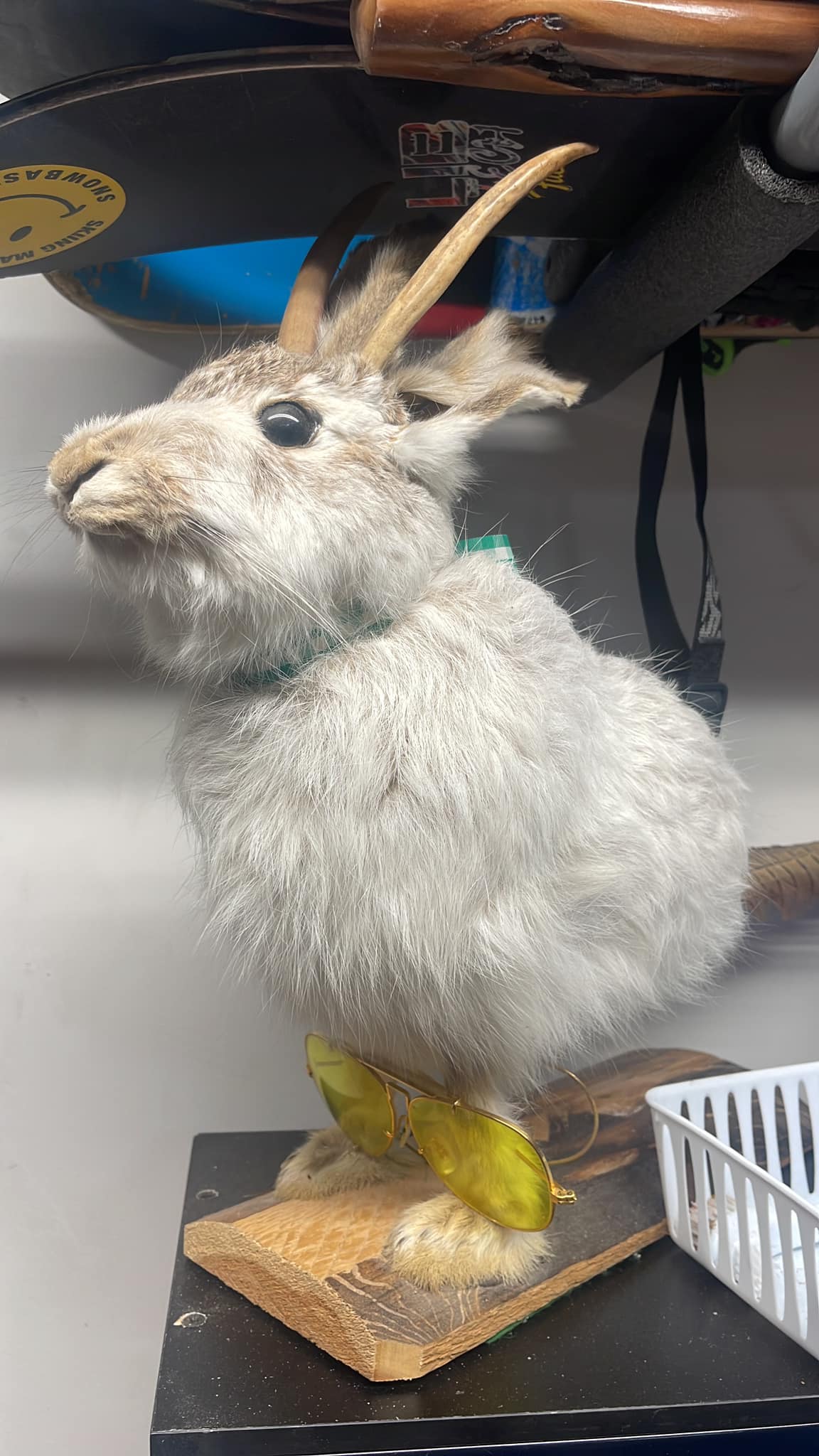 小物 00s archive goa rabbit far stall paisley Jackalope with pheasant tail. From the 70's. Family heirloom!!