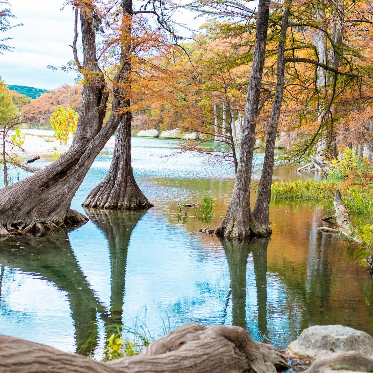 Moondance Ranch Hacendia | Utopia TX