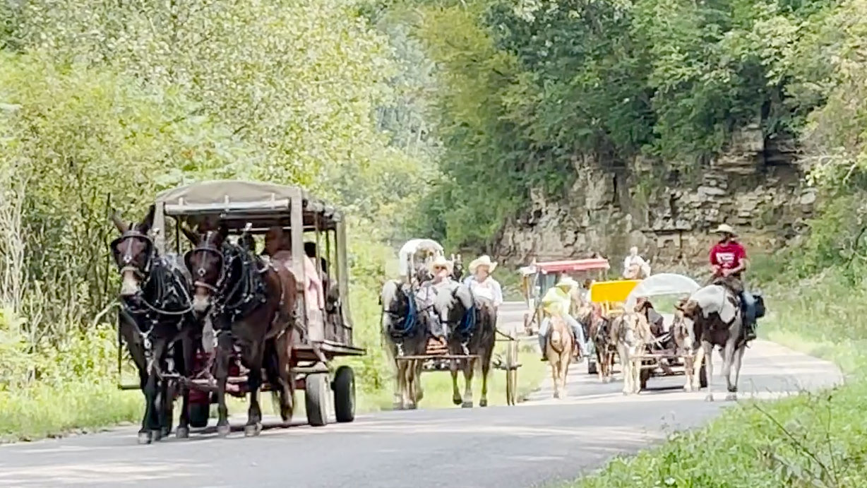 洋楽 mule train almost like being in lovd 洋楽 mule train almost