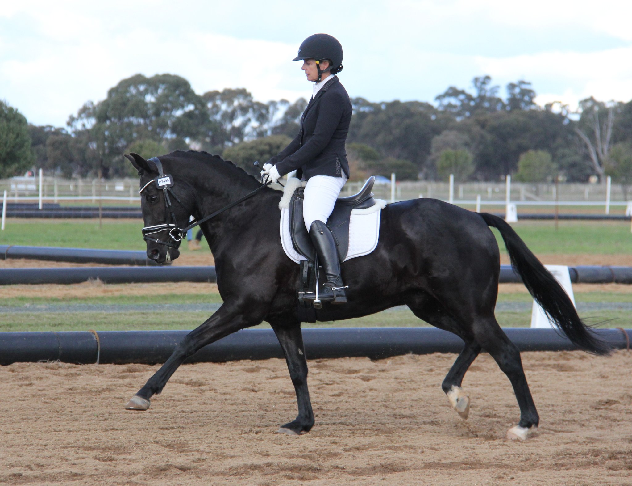 Pyjamarama (Exceed & Excel x Dylanesque) wins first start in