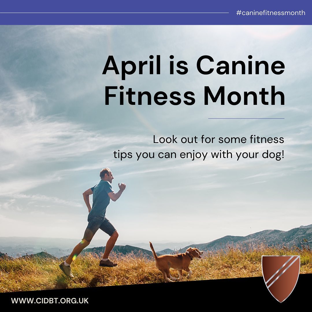 Canine and Feline Behaviour Association - CFBA