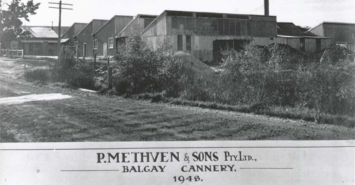 Penrith City Libraries - Flashback Friday wonders who remembers Balgay ...