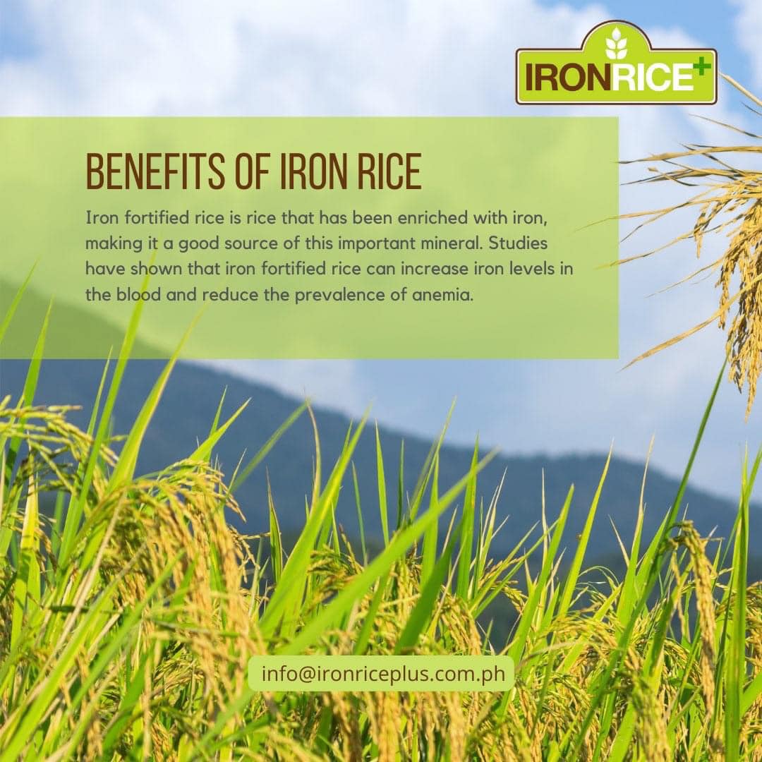 Iron Rice Plus | Bacolod CIty