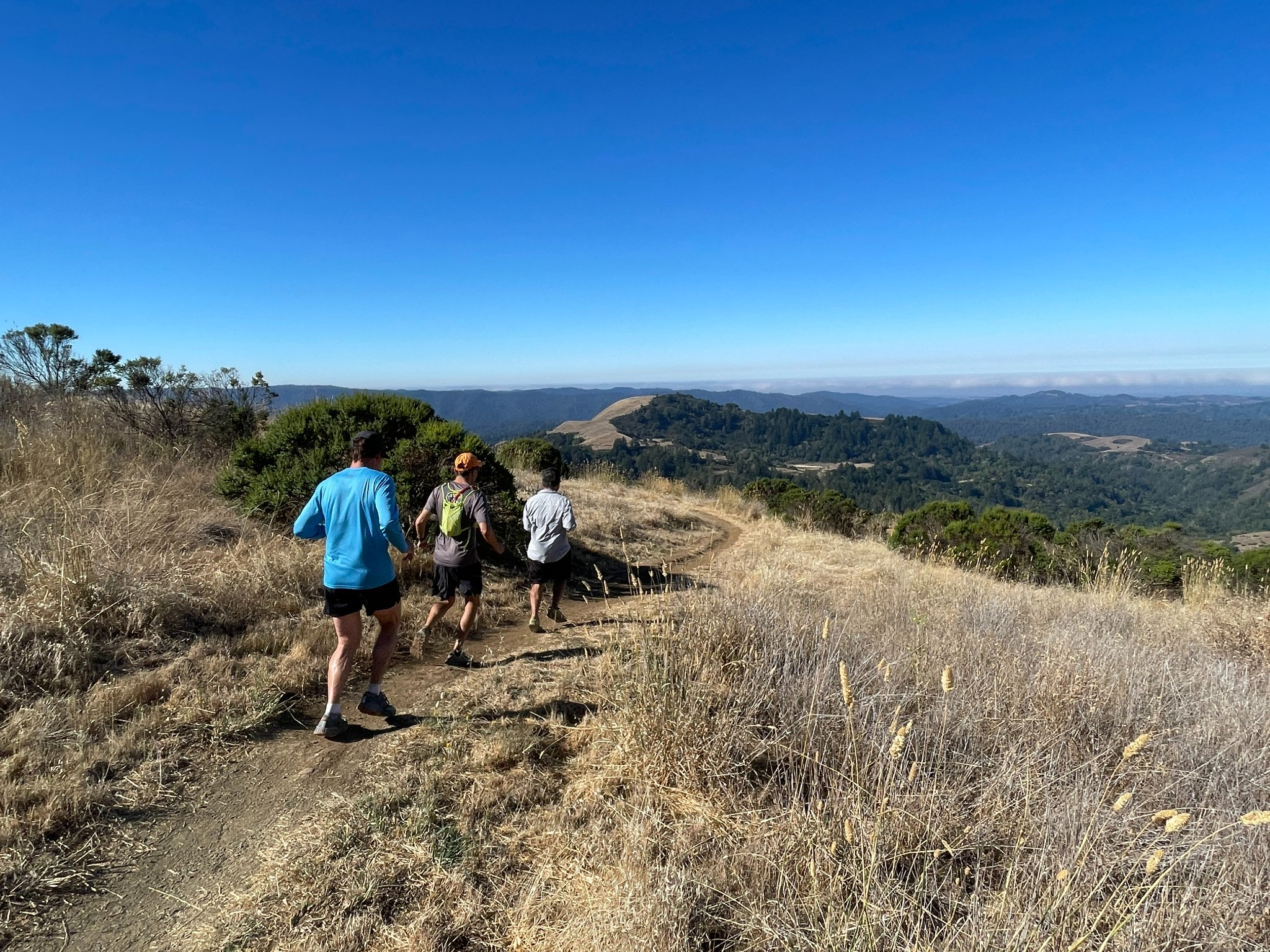 TrailStompers - Trail Running in the San Francisco Bay Area