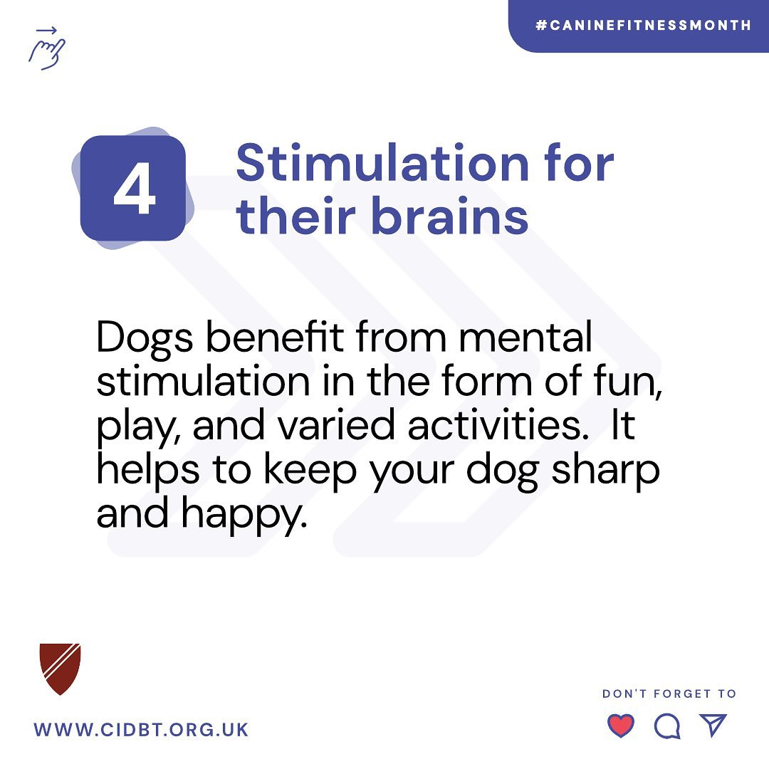 Canine and Feline Behaviour Association - CFBA
