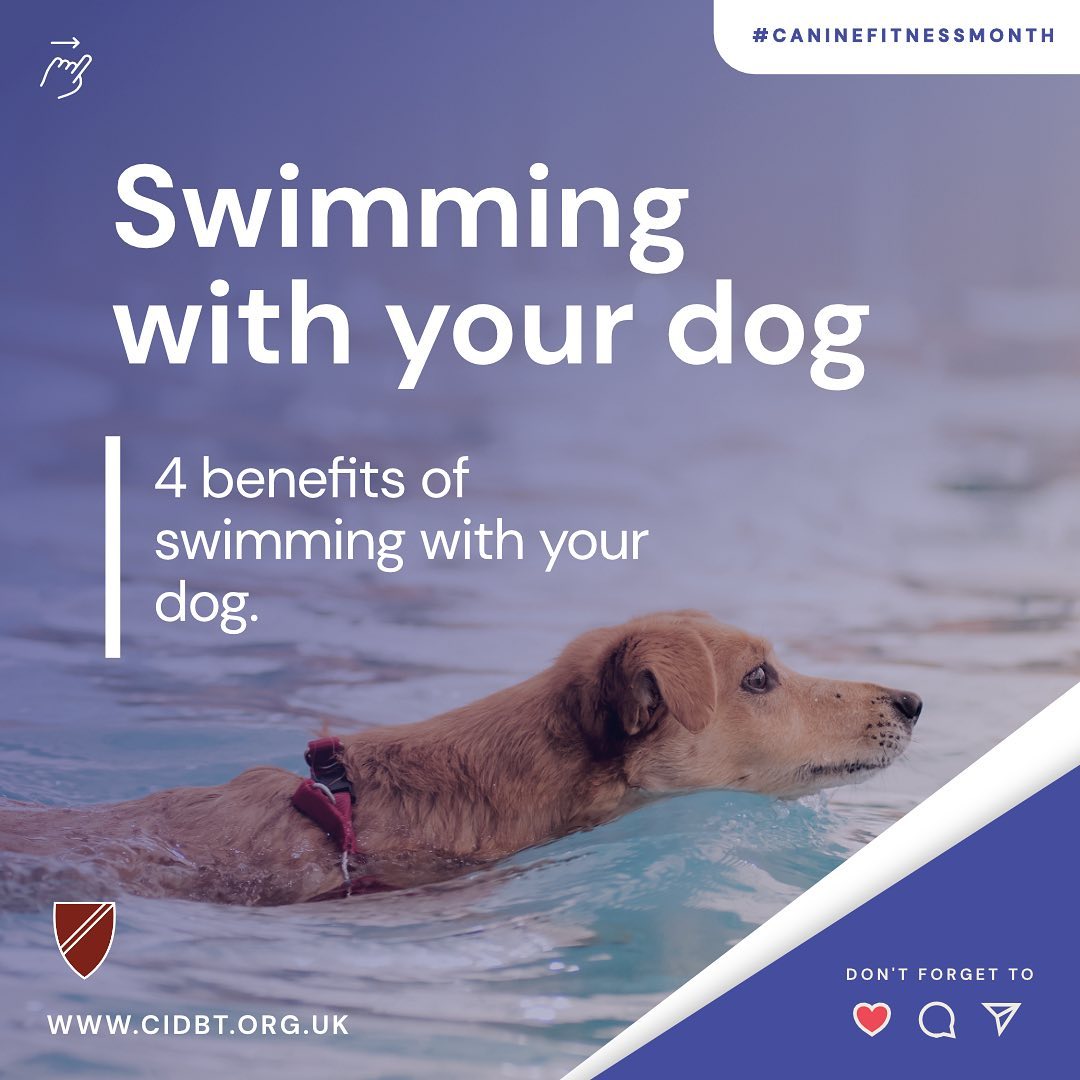 Canine and Feline Behaviour Association - CFBA