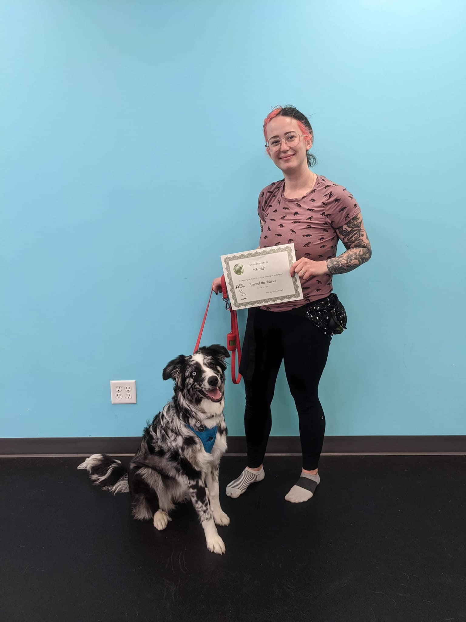 Congratulations to these... - Hyper Hounds Dog Training | Facebook