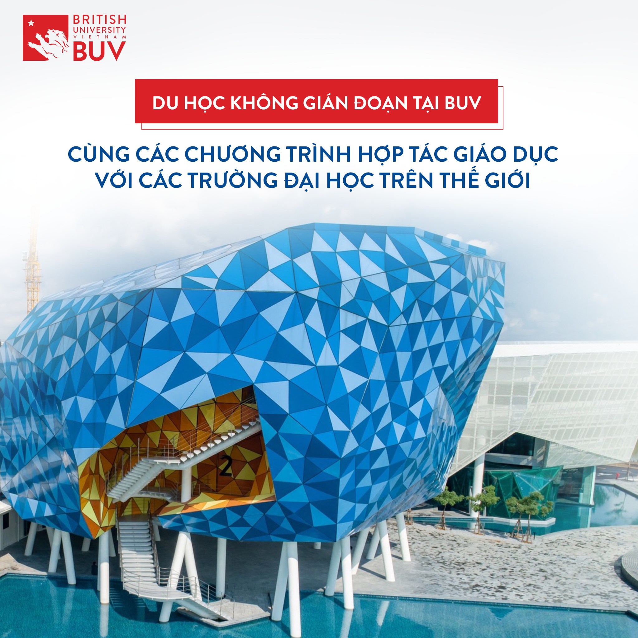 BUV TĂNG CƯỜNG VÀ MỞ... - British University Vietnam - BUV | Facebook