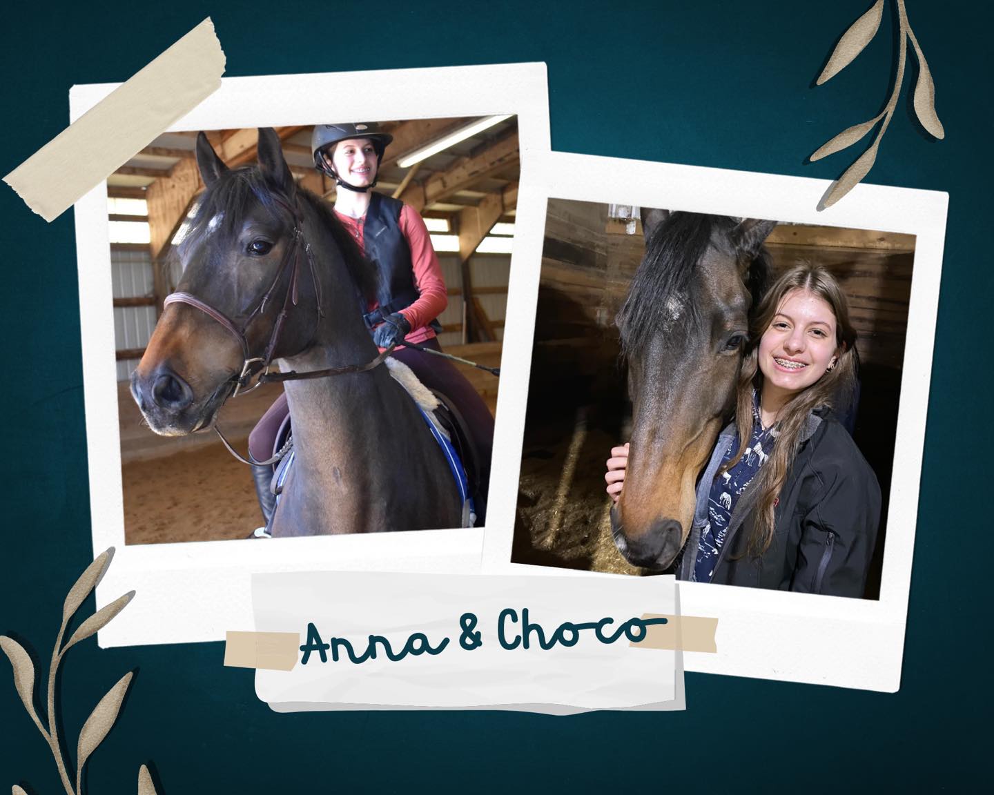 We are so incredibly excited to... - ThoroughQuest Acres | Facebook