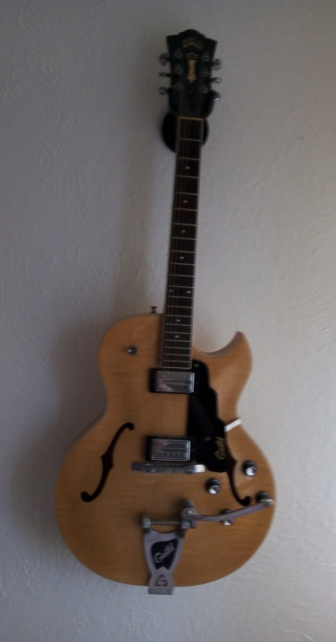 Does anyone have access to a Guild Starfire 1 pickguard with