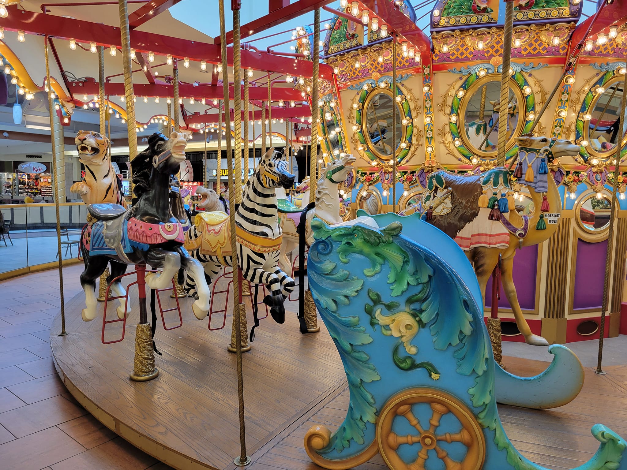 National Carousel Association Facebook Group | Barrango Carousel in ...