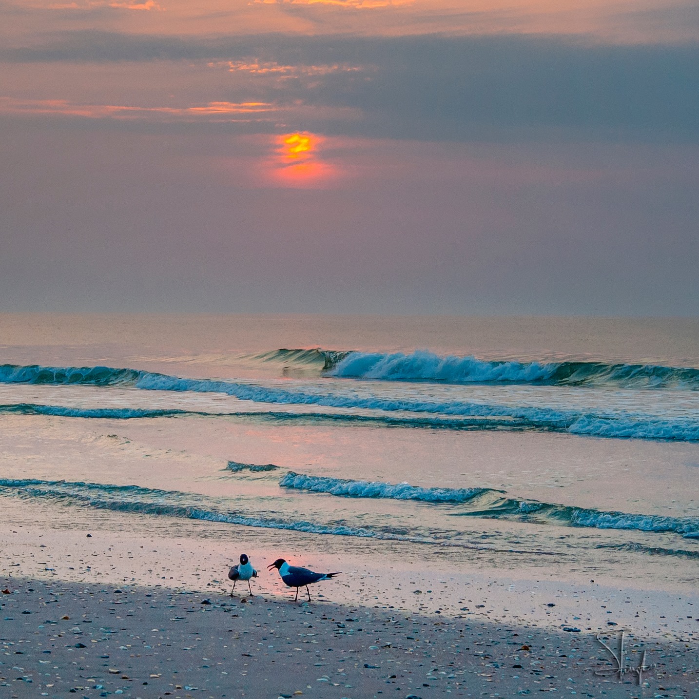 Hampton Inn Suites By Hilton Landfall Wilmington Wrightsville Beach Nc Home Facebook