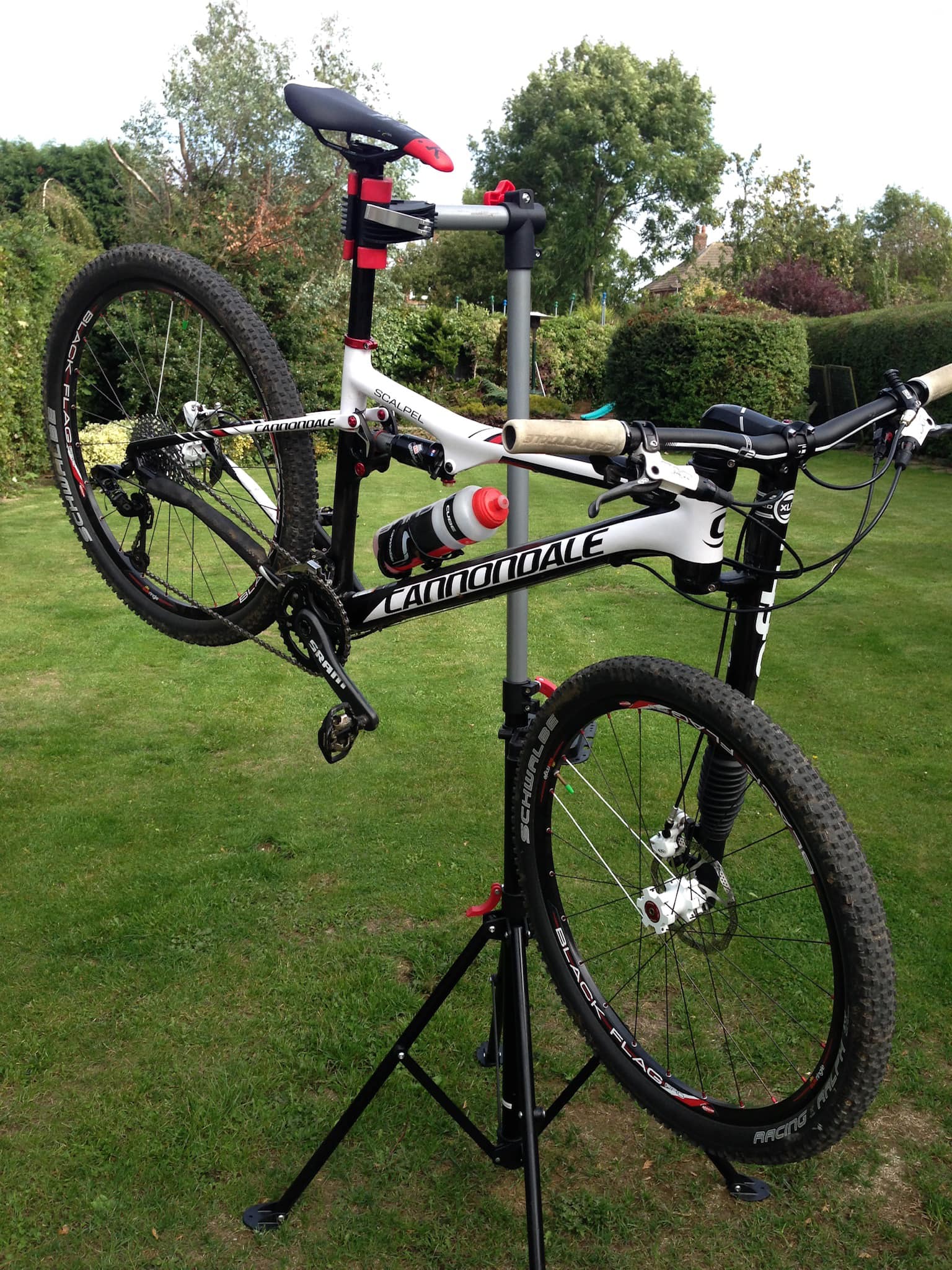 Custom Cannondale Lefty Hooligan minivelo for sale
