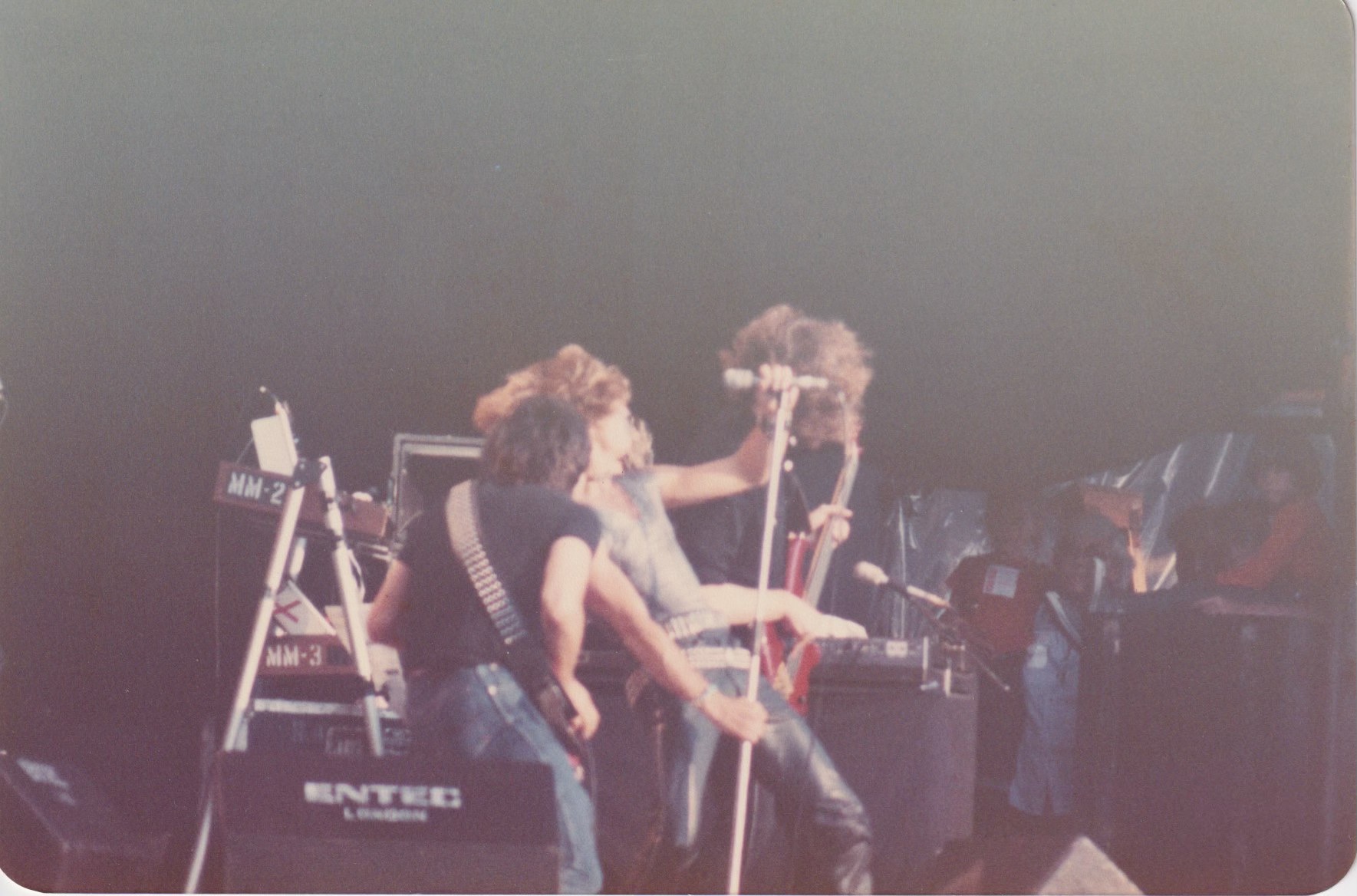 コレクション MSG/ Iron Maiden / Gary Moore/Reading