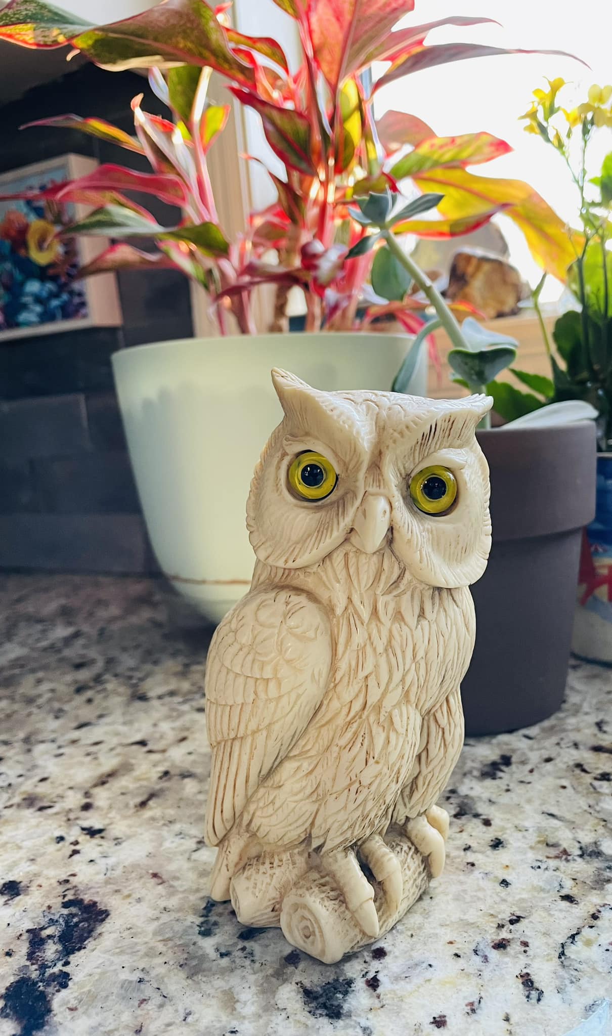 OwL / 1st、2nd 廃盤デモCDセット Name suggestions for vintage owl decoration