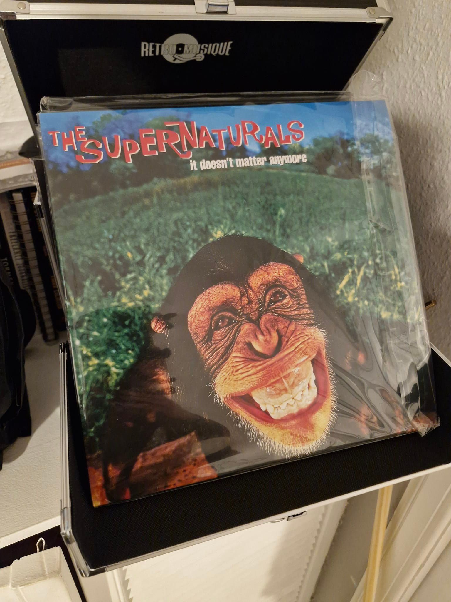 The Supernaturals' album It Doesn't Matter Anymore is a great listen