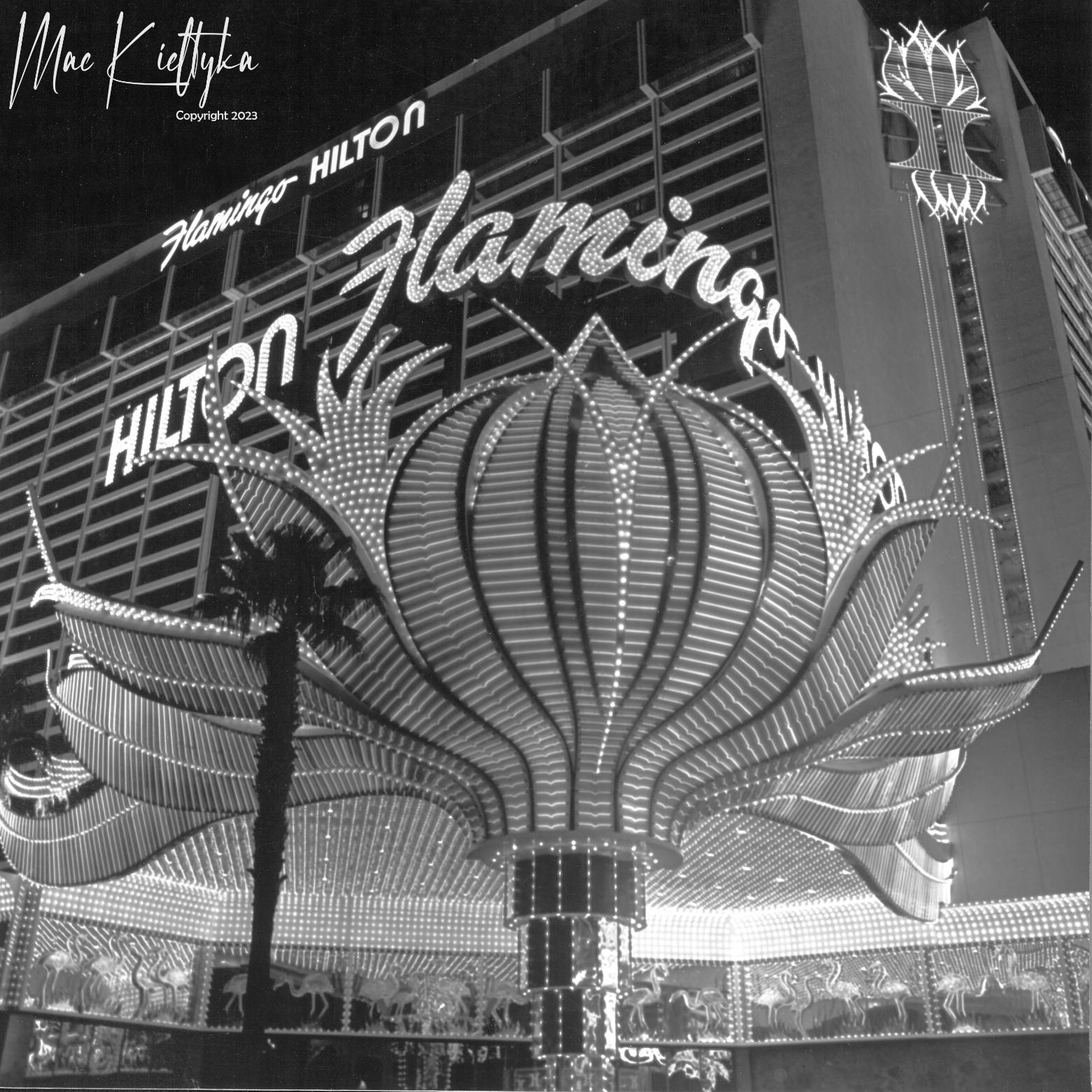 The Las Vegas Hilton, May 1980