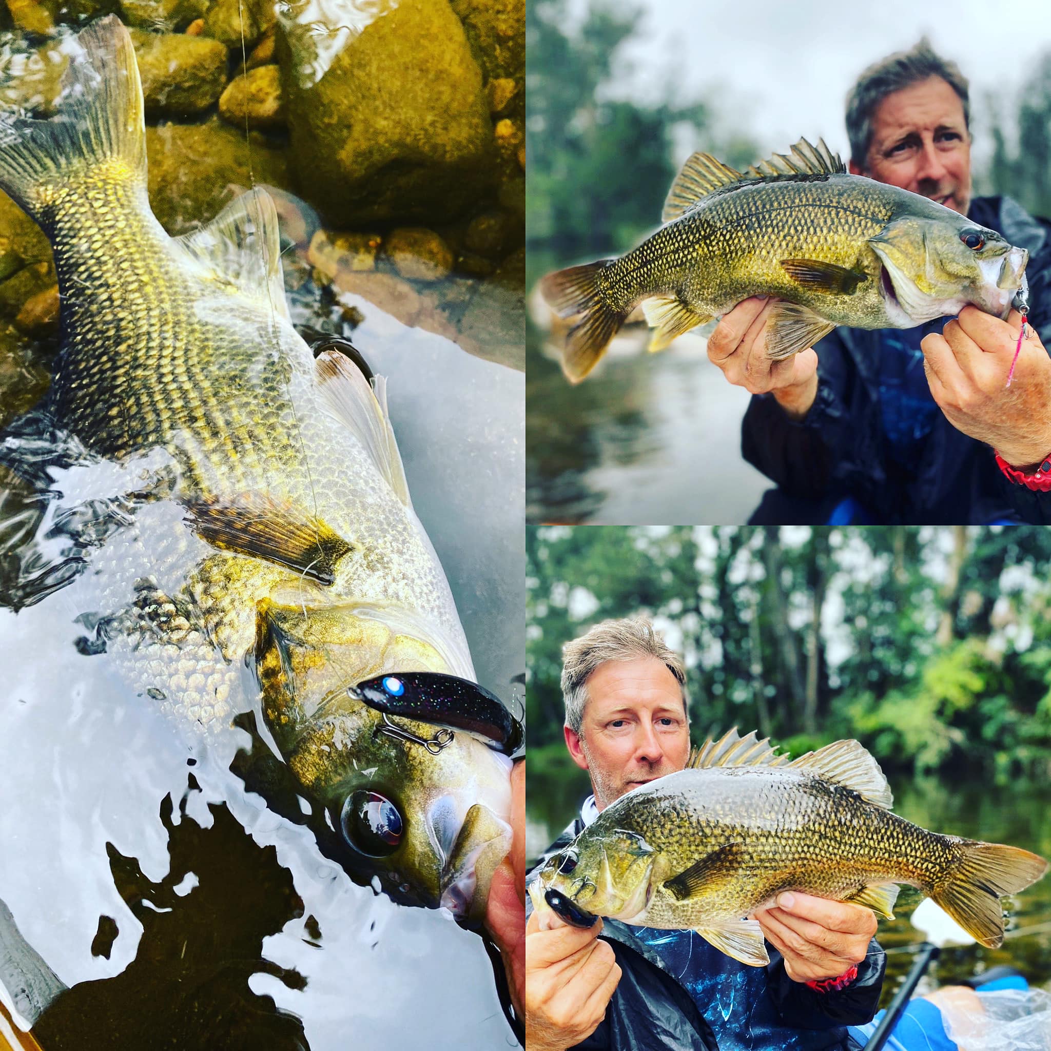 berkley fireline fused crystal for frog fishing FireLine® Original Filler Spool The smooth and supple nature of the line allows for incredible casting distance Berkley Fireline Micro Ice Fused