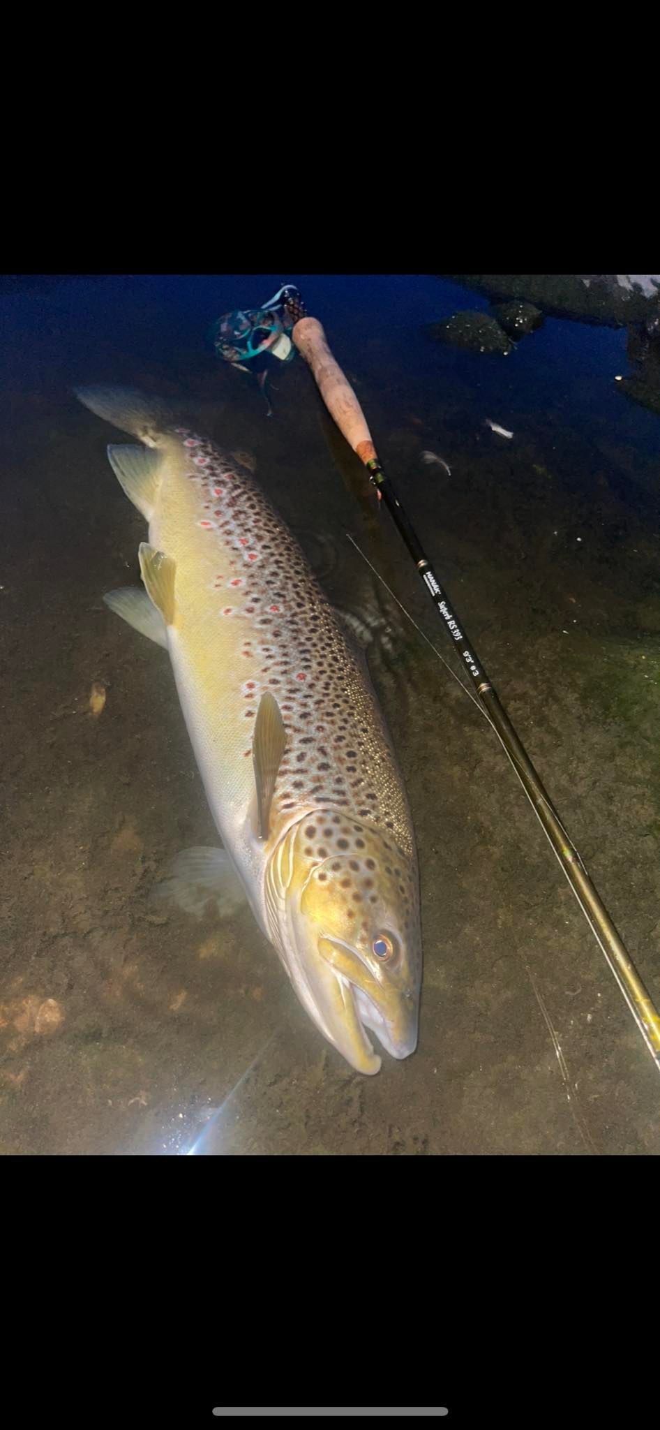 catching a.fish on automatic fly reel JMC Performer Rods Automatic SPRING LOADED Fishing Rod!