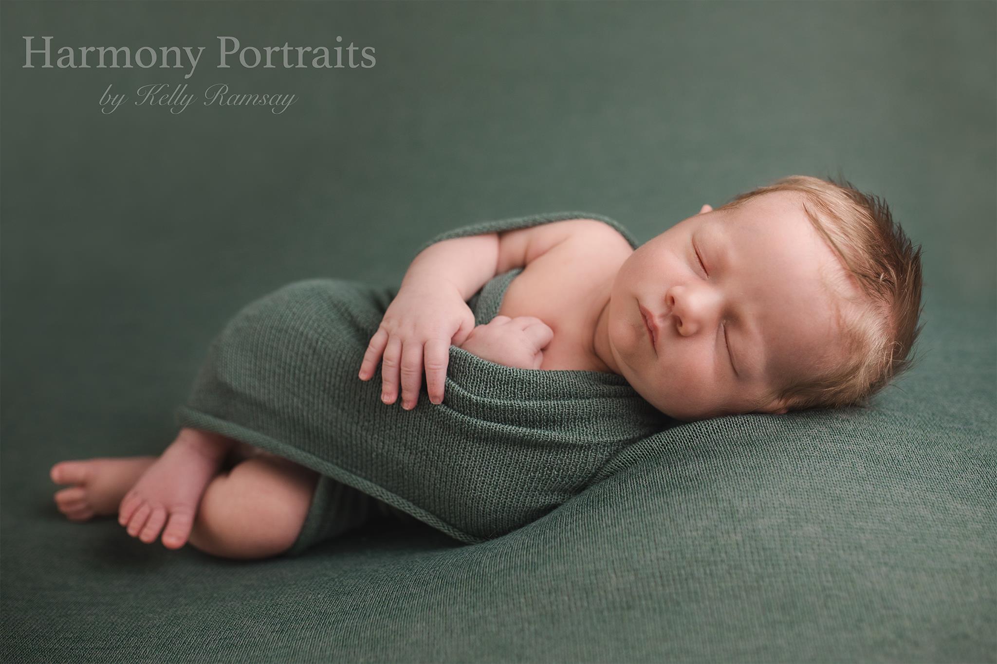 Harmony Portraits by... - Harmony Portraits by Kelly Ramsay