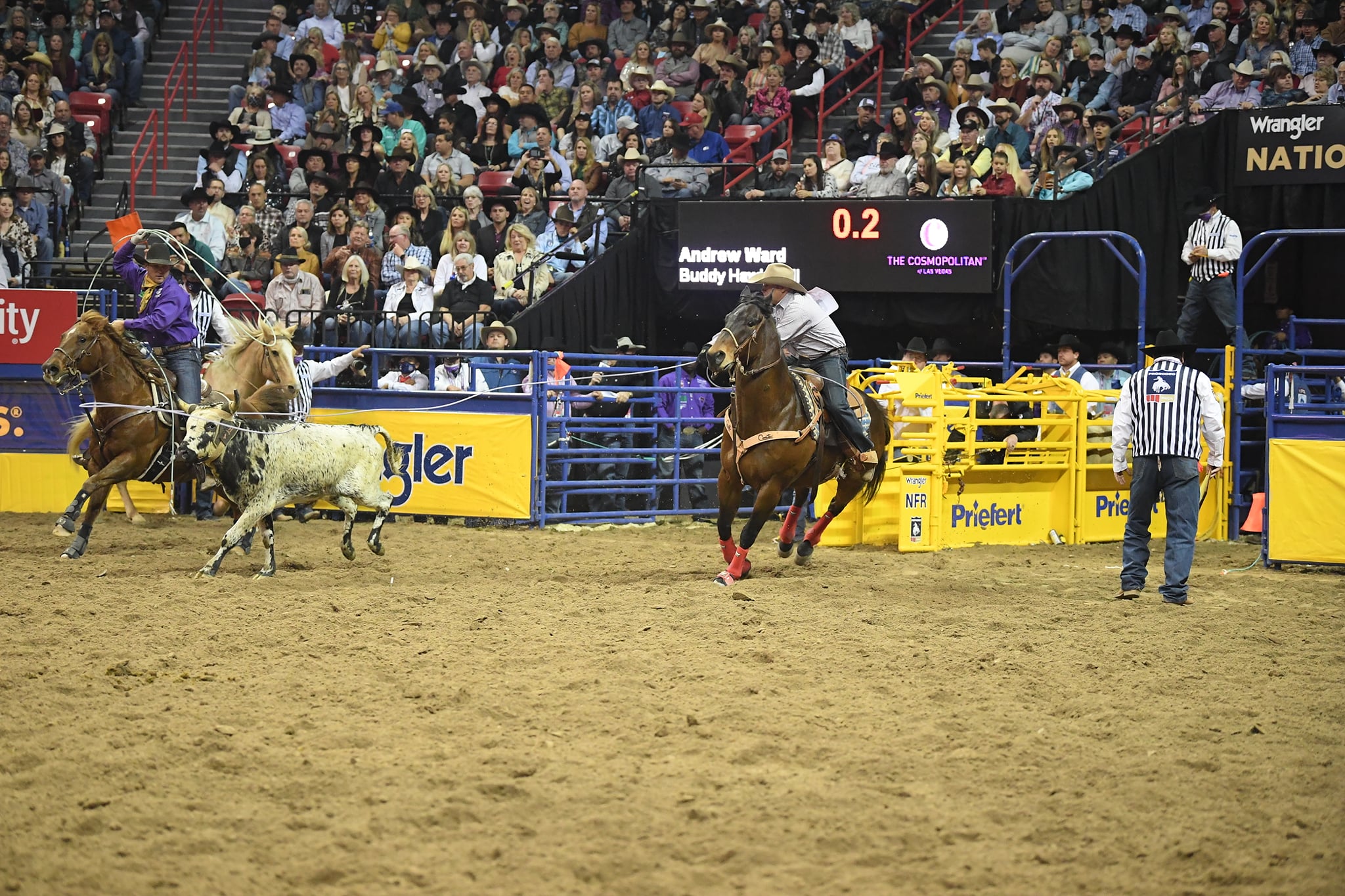 Andrew Ward and Buddy... - The Team Roping Journal Magazine | Facebook